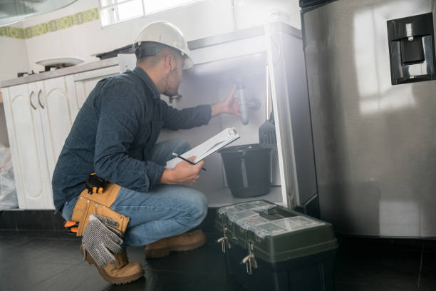 Best Leak Detection Services  in Delta Junction, AK