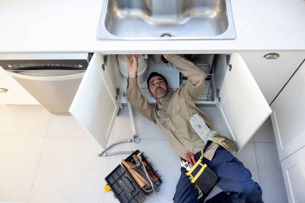 Best Sprinkler Systems  in Delta Junction, AK
