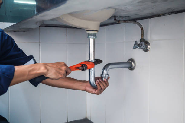 Best Plumbing Repair Near Me  in Delta Junction, AK