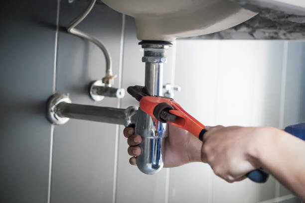 Best Commercial Plumbing Services  in Delta Junction, AK